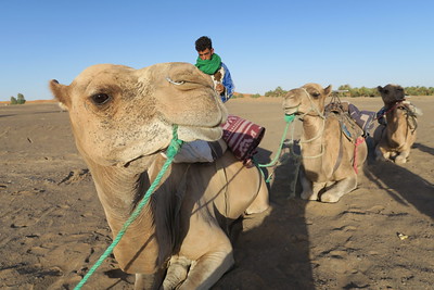 Moroccan desert tours